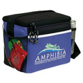 Spectrum Frosted Insulated 6 Pack Cooler